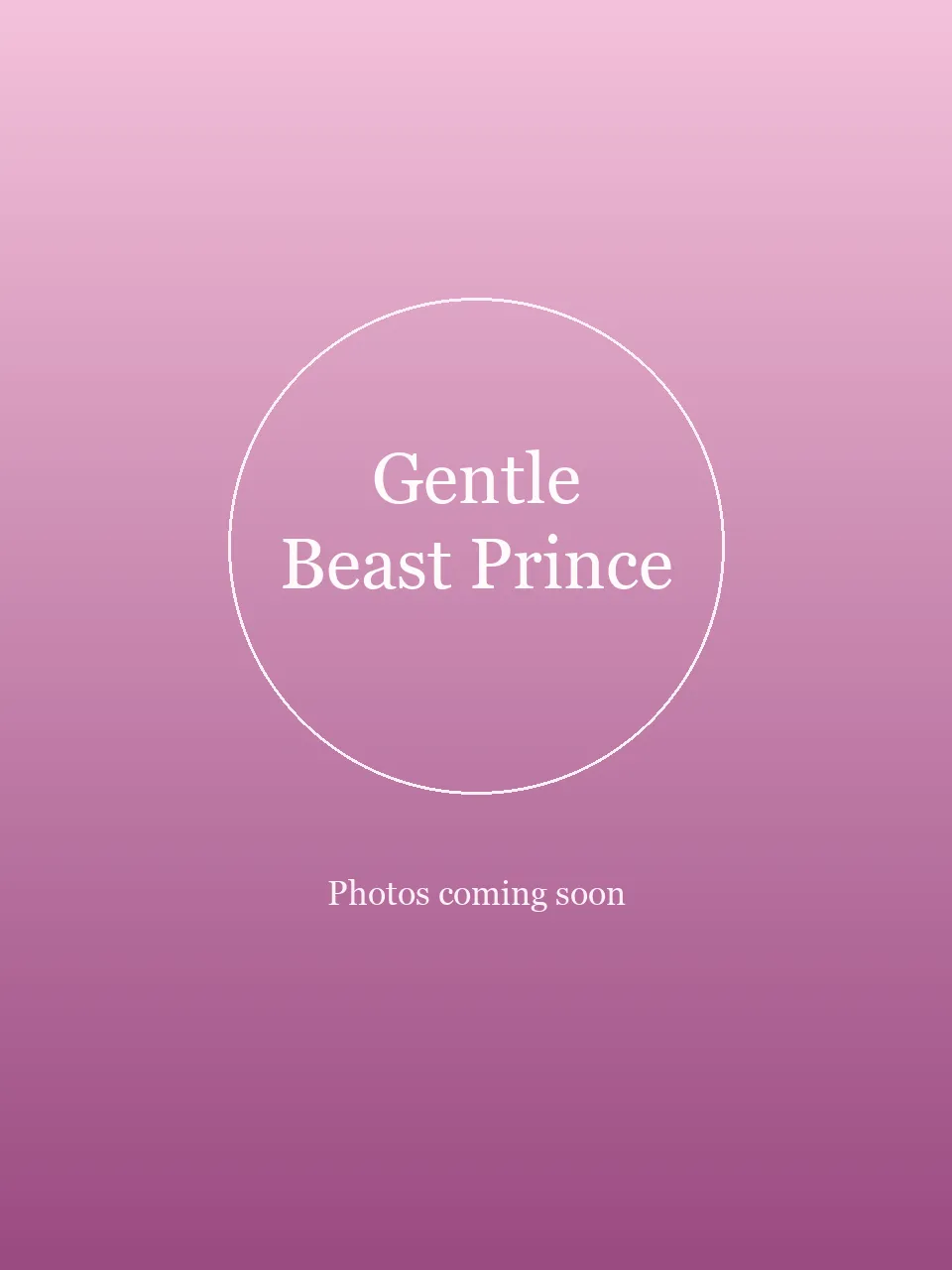 Gentle Beast Prince party character in Dallas