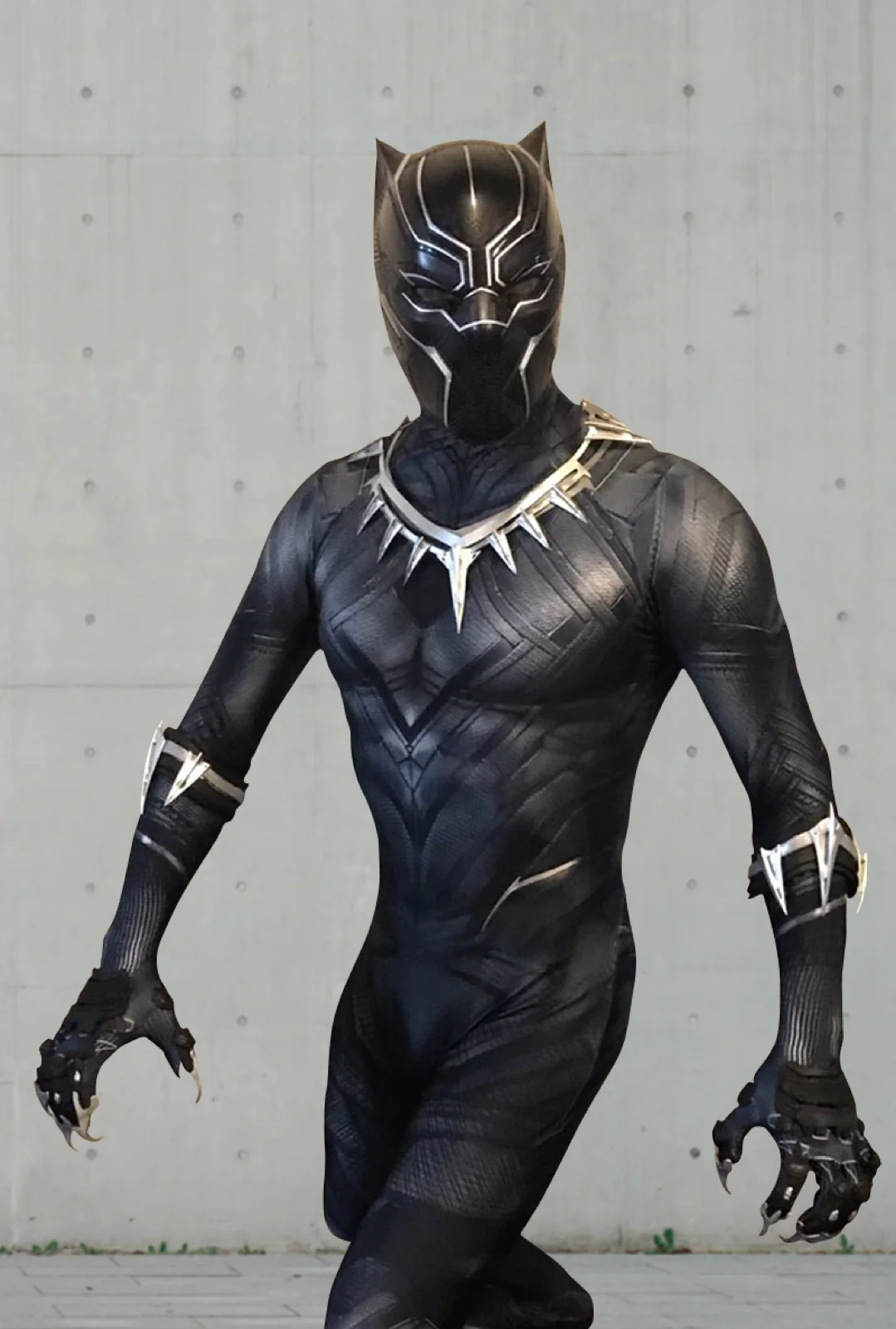 Panther Hero party character in Dallas