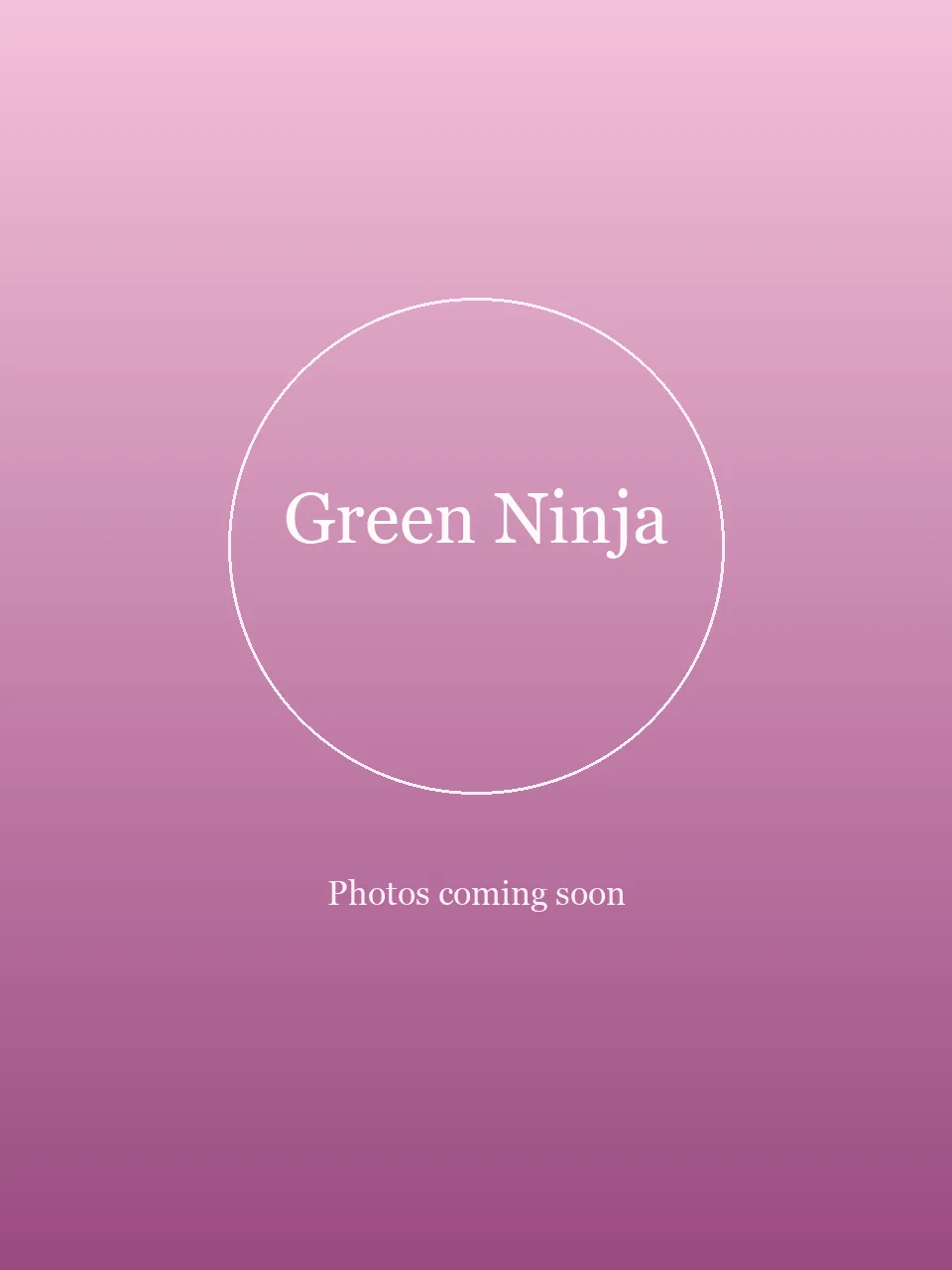 Green Ninja party character in Dallas