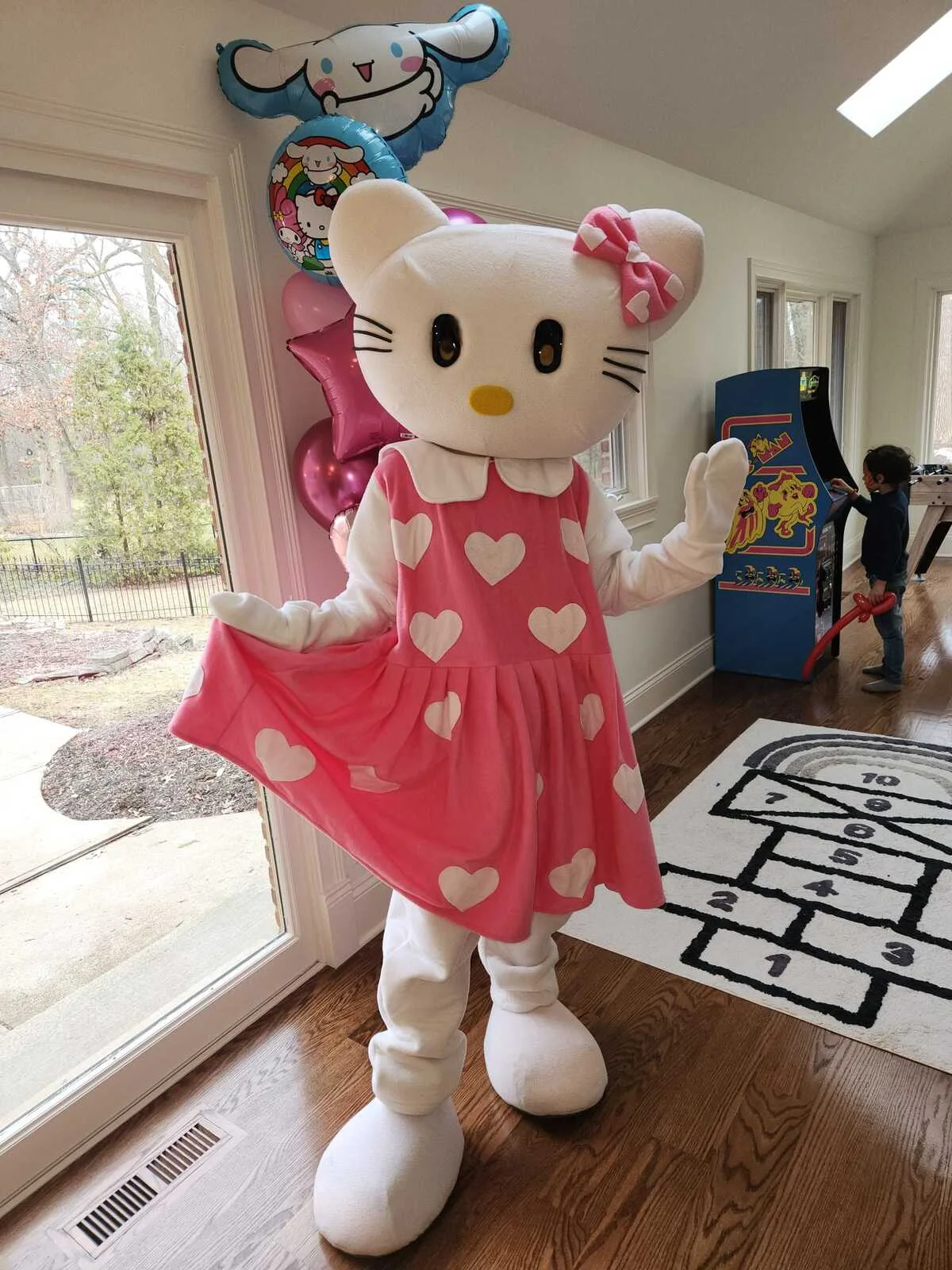 Princess Kitty party character in Dallas