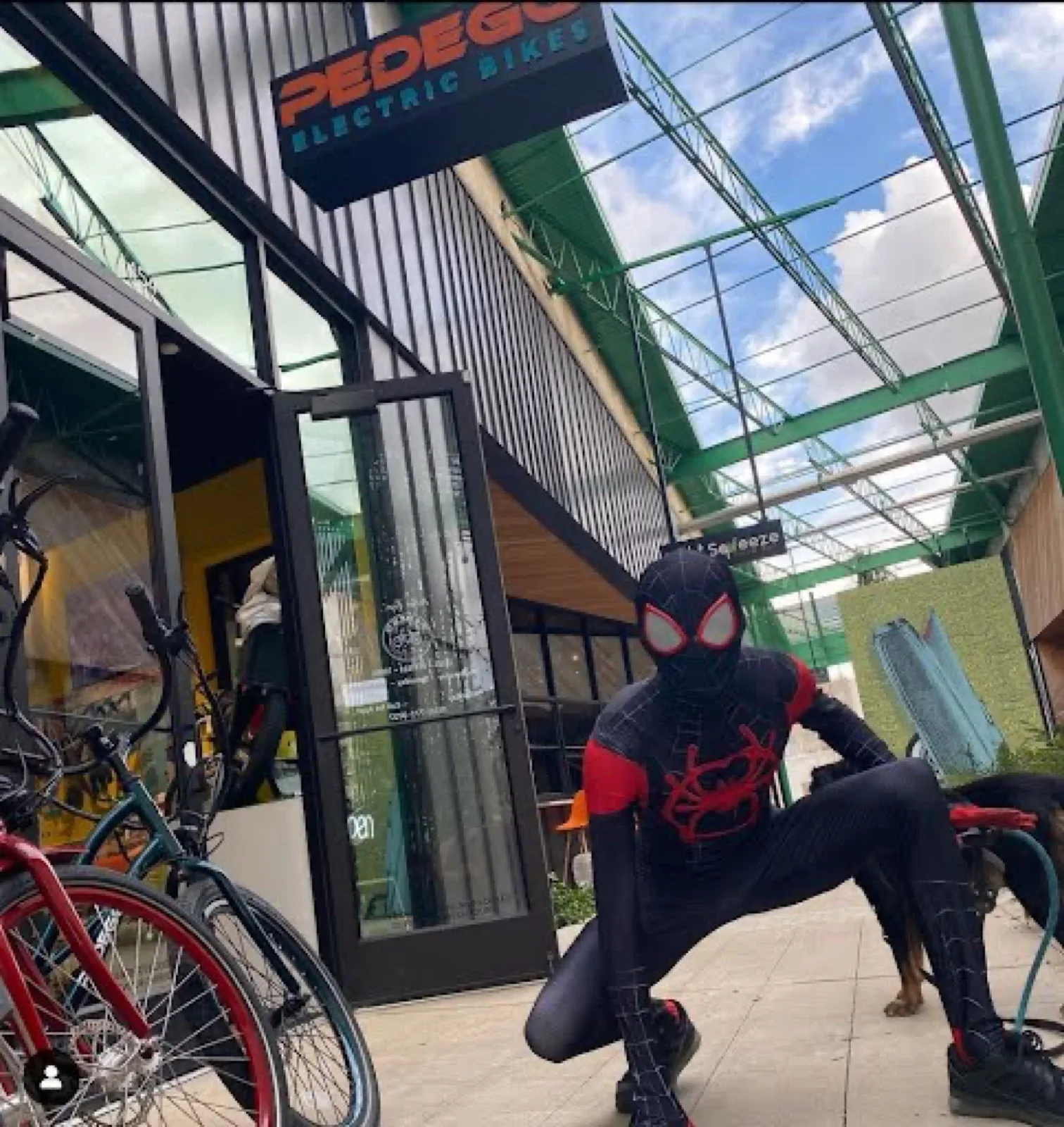 Masked Web Hero party character in Dallas