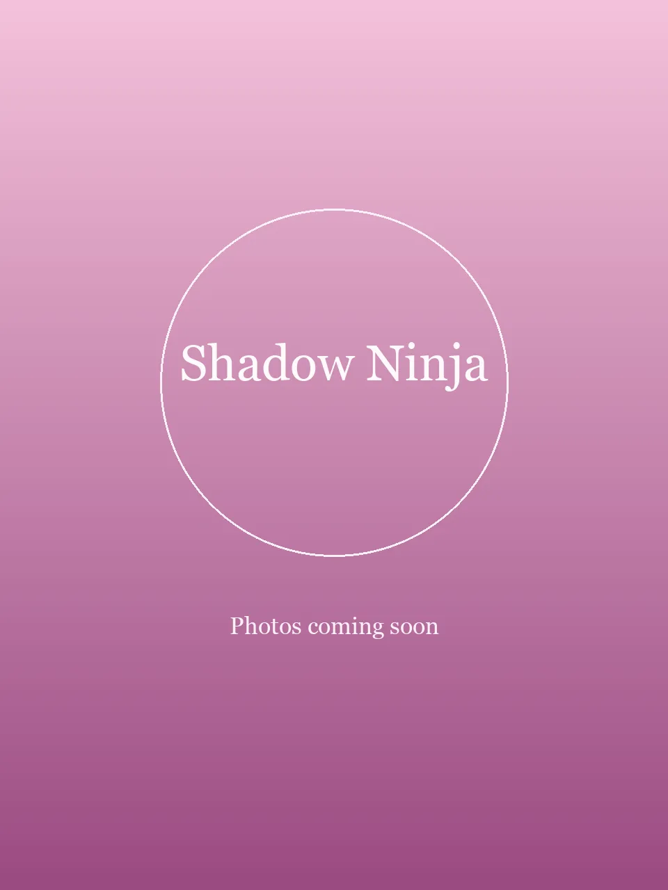 Shadow Ninja party character in Dallas