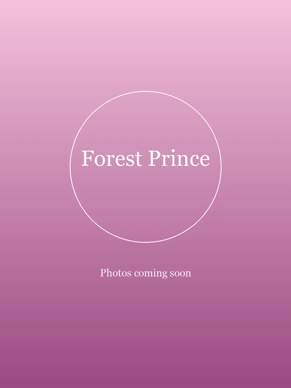 Forest Prince party character in Dallas