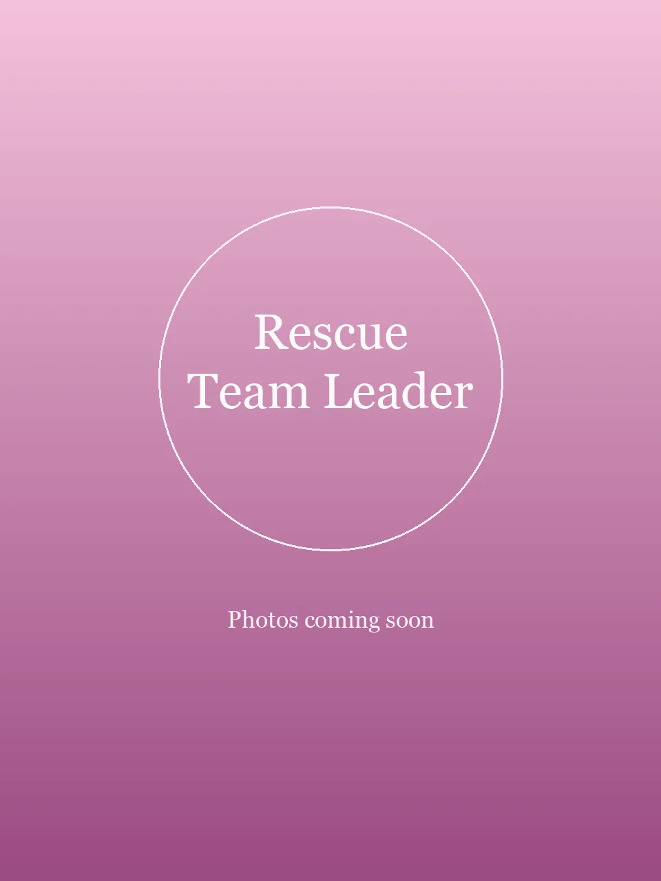 Rescue Team Leader party character in Dallas