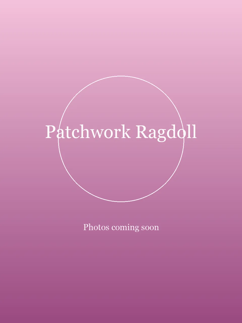 Patchwork Ragdoll party character in Dallas
